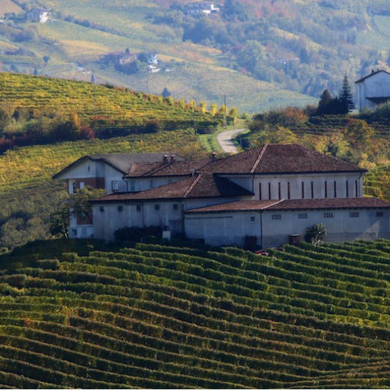 Screenshot 2025-06-02 at 20-17-12 Gallery – Azienda Agricola Prinsi